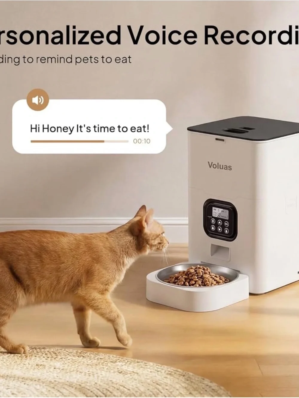 Automatic Pet Feeder - White with Black Top